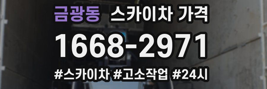 금광동 스카이차 가격