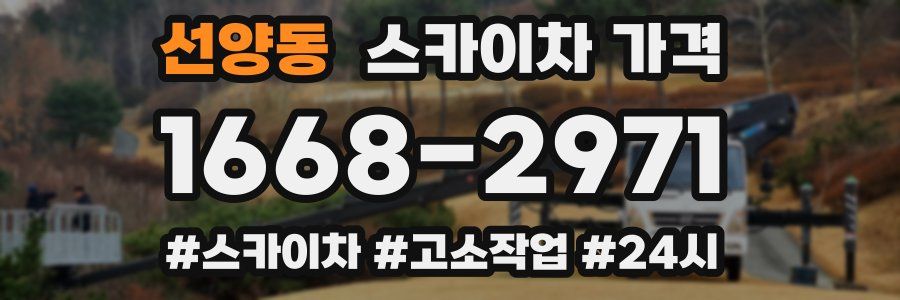 선양동 스카이차 가격