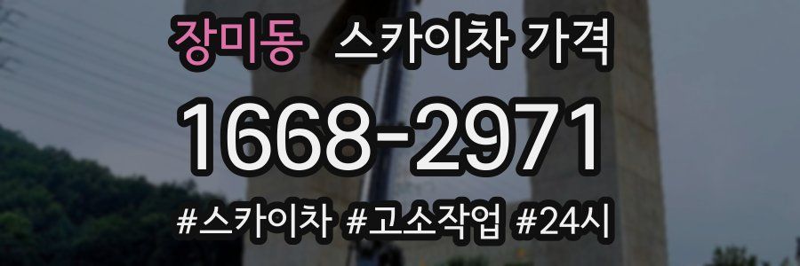 장미동 스카이차 가격