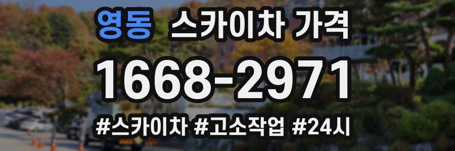 영동 스카이차 가격