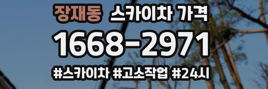 장재동 스카이차 가격