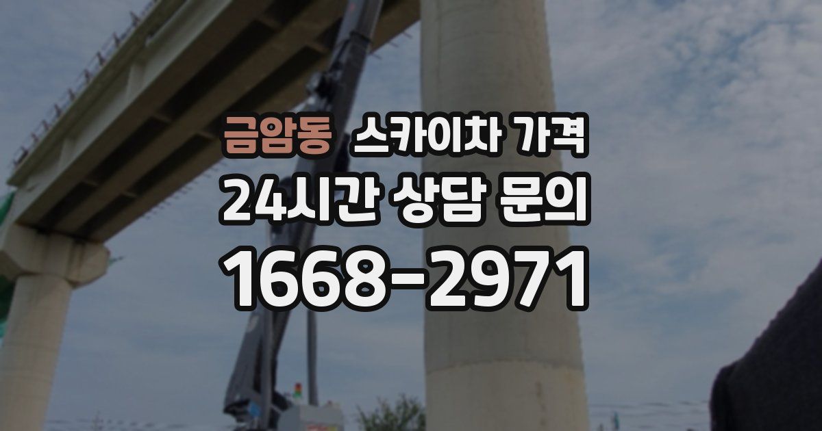 금암동 스카이차 가격