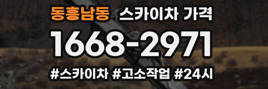 동흥남동 스카이차 가격