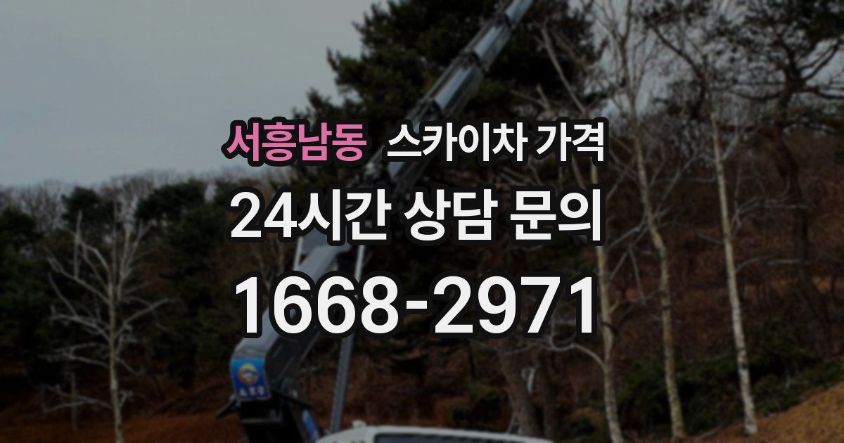 서흥남동 스카이차 가격