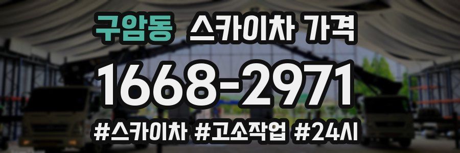 구암동 스카이차 가격