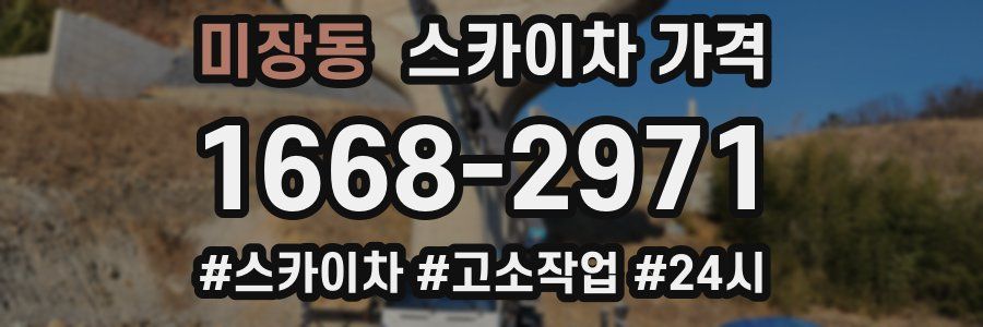 미장동 스카이차 가격