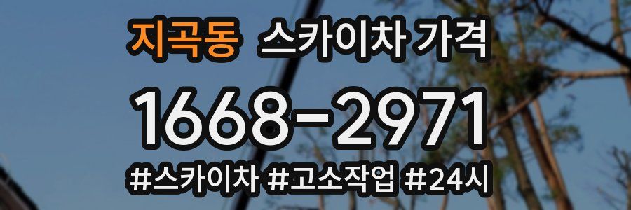 지곡동 스카이차 가격