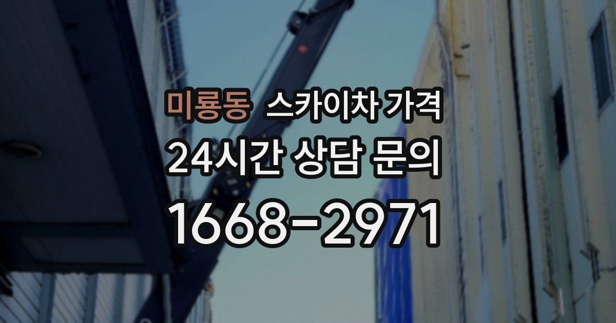 미룡동 스카이차 가격