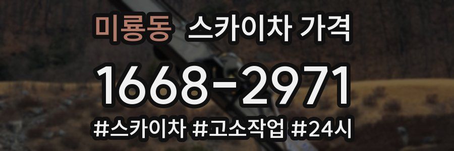 미룡동 스카이차 가격