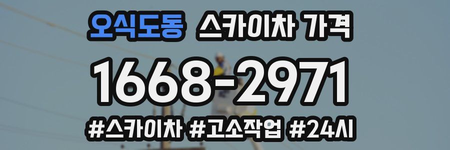 오식도동 스카이차 가격