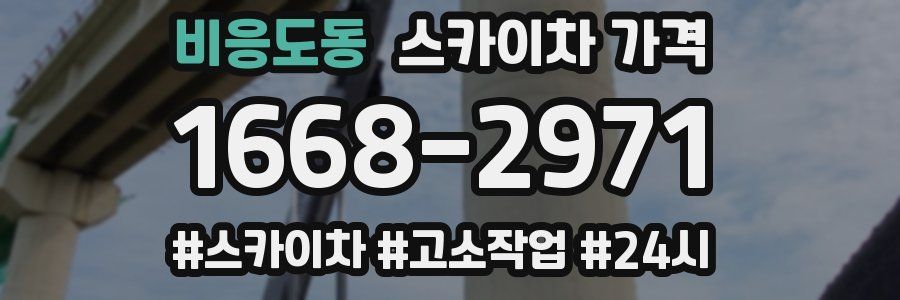 비응도동 스카이차 가격