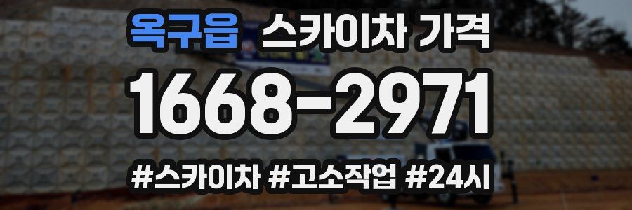 옥구읍 스카이차 가격