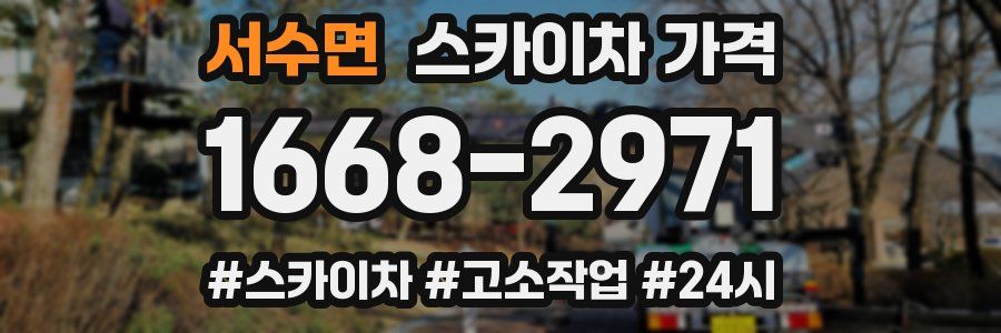 서수면 스카이차 가격