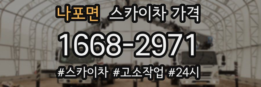 나포면 스카이차 가격