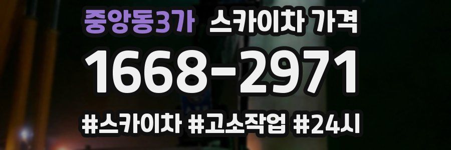 중앙동3가 스카이차 가격