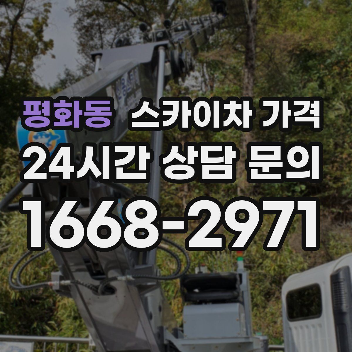 평화동 스카이차 가격