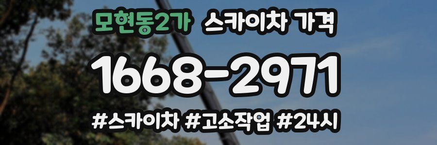 모현동2가 스카이차 가격