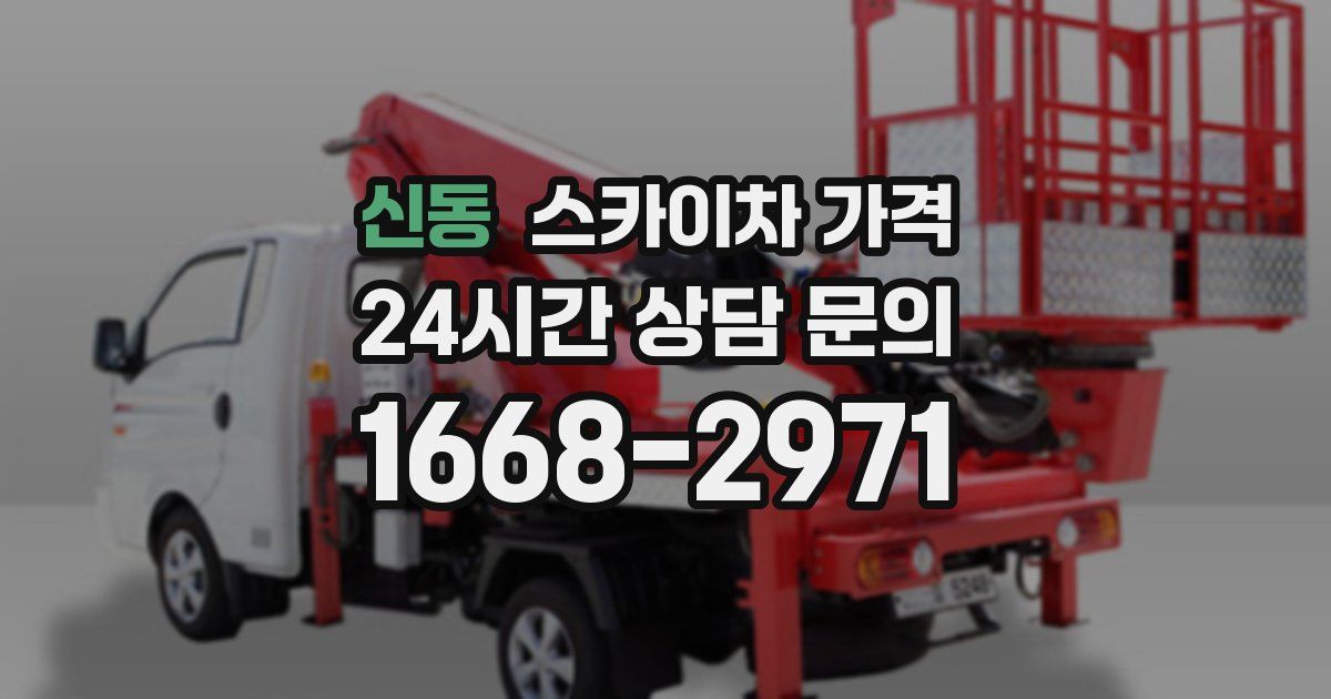 신동 스카이차 가격