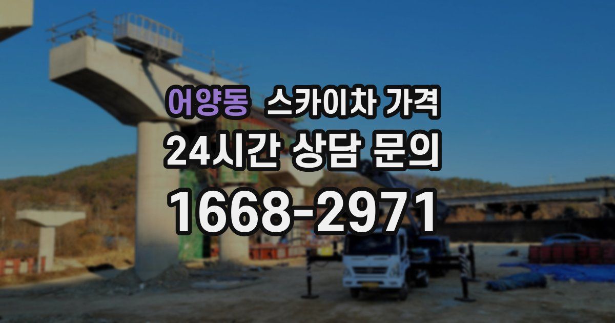 어양동 스카이차 가격