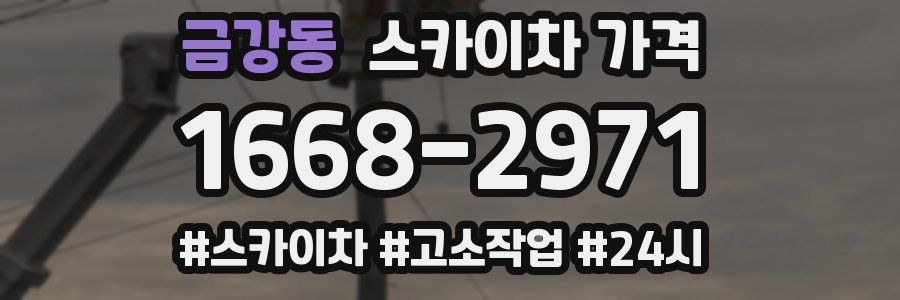 금강동 스카이차 가격