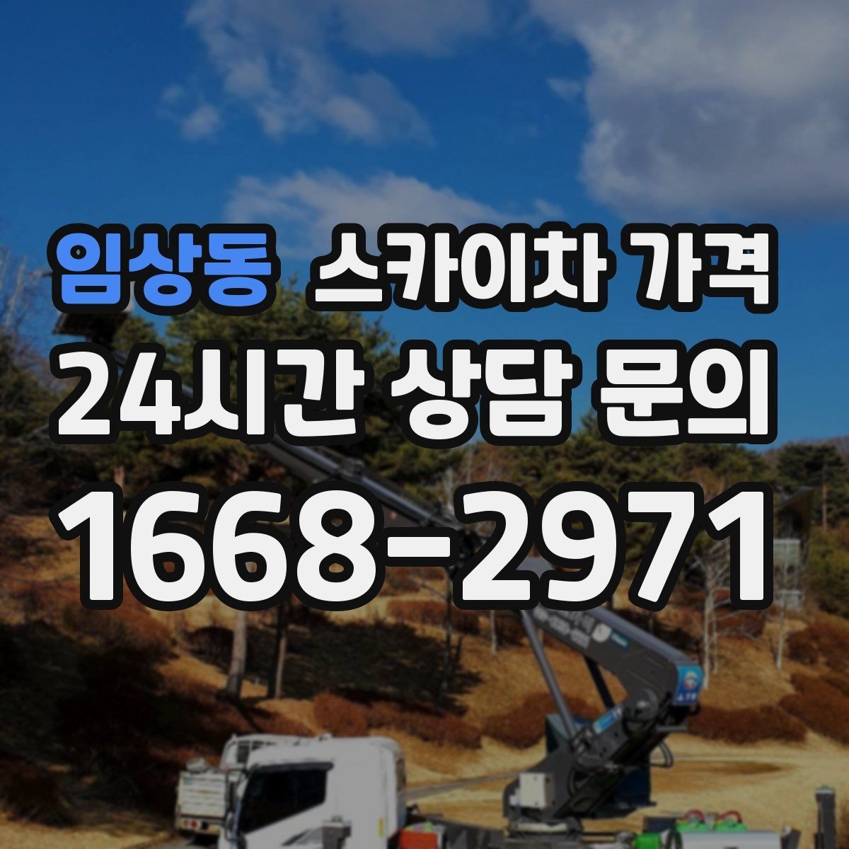 임상동 스카이차 가격 나무 전지 작업은 가지 위치가 변수가 됩니다