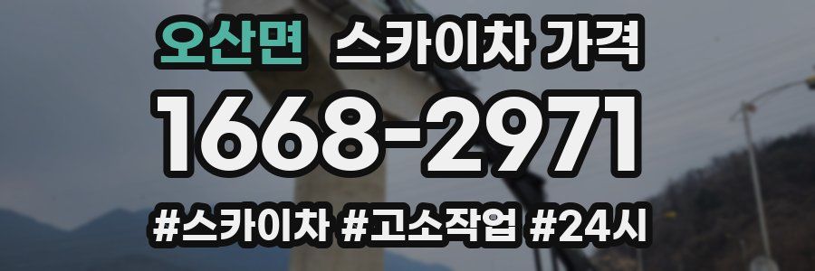 오산면 스카이차 가격