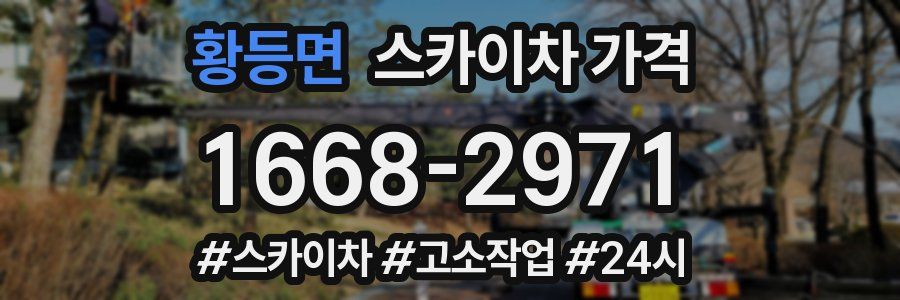 황등면 스카이차 가격