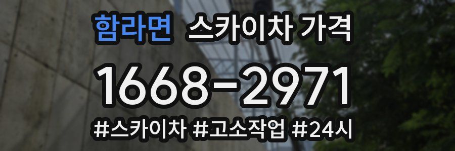 함라면 스카이차 가격