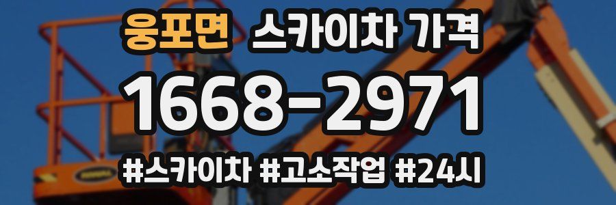 웅포면 스카이차 가격