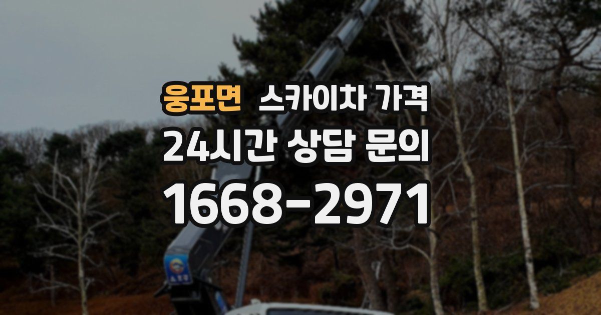 웅포면 스카이차 가격