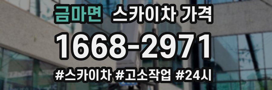 금마면 스카이차 가격