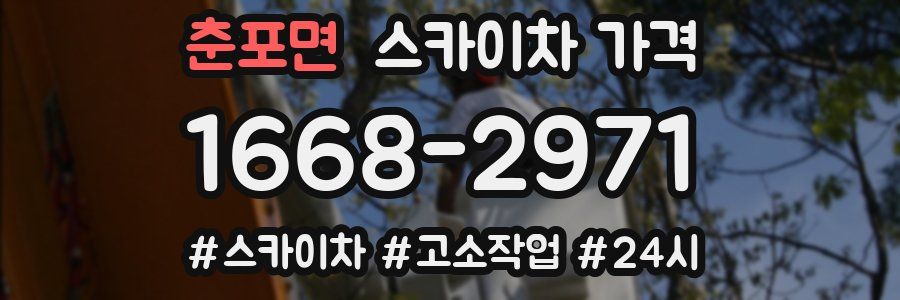 춘포면 스카이차 가격