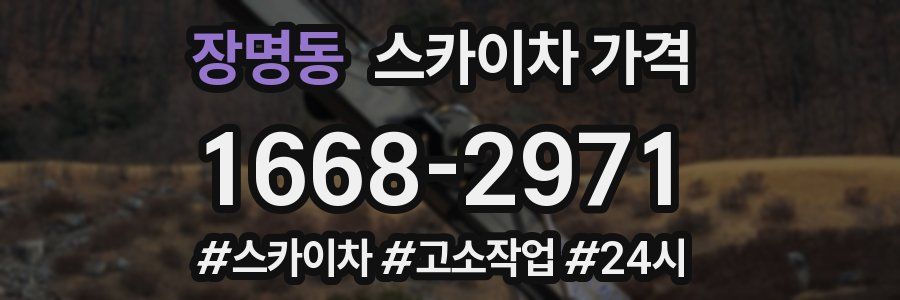 장명동 스카이차 가격