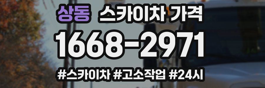 상동 스카이차 가격