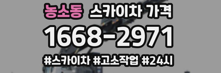 농소동 스카이차 가격