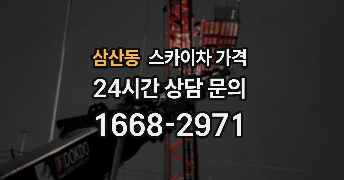 삼산동 스카이차 가격