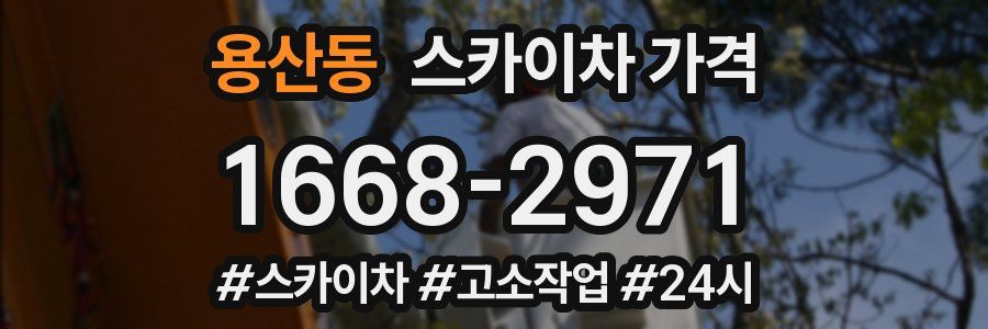 용산동 스카이차 가격