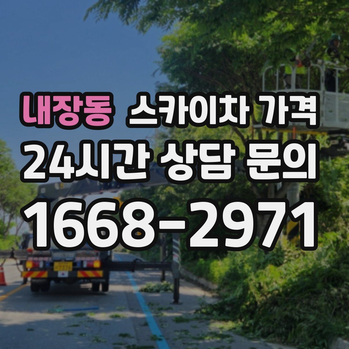 내장동 스카이차 가격 급하면 당일도 가능할까 현실적인 기준