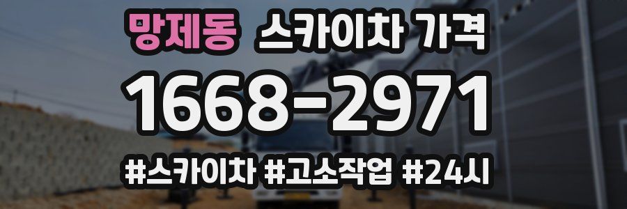 망제동 스카이차 가격