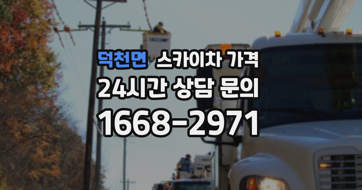 덕천면 스카이차 가격