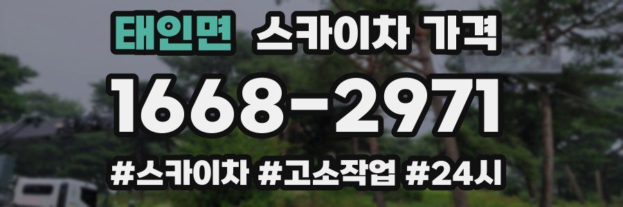 태인면 스카이차 가격