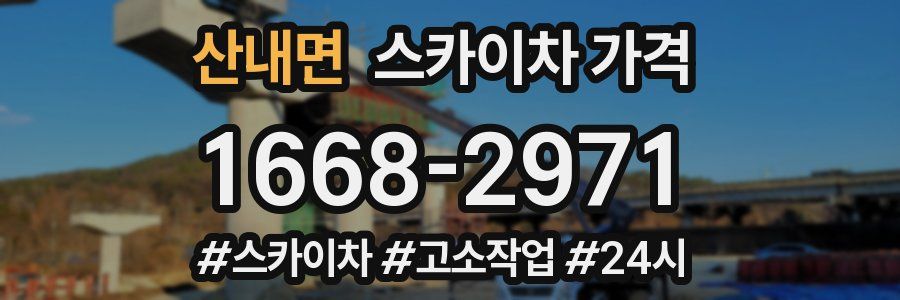 산내면 스카이차 가격