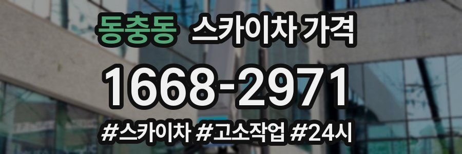 동충동 스카이차 가격