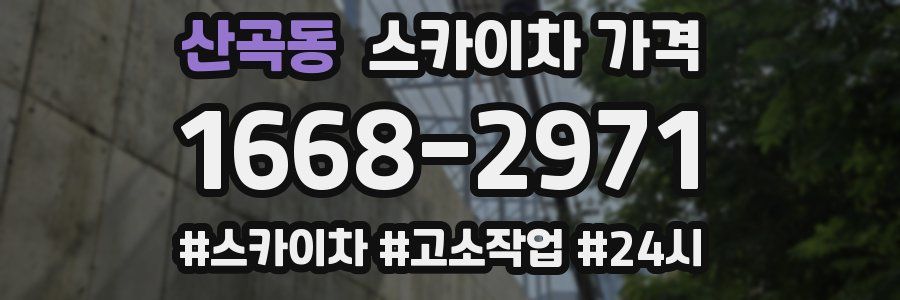 산곡동 스카이차 가격