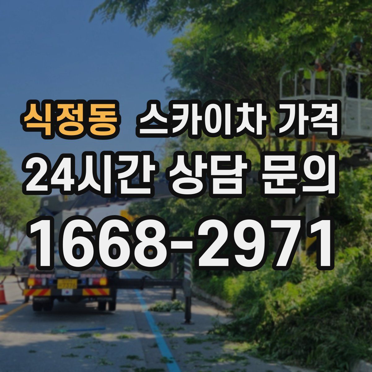 식정동 스카이차 가격