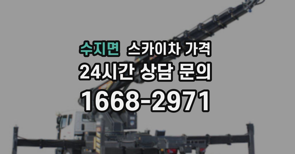 수지면 스카이차 가격