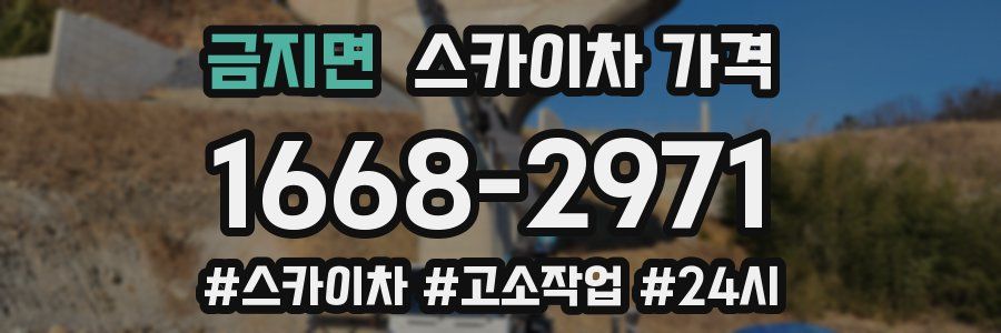 금지면 스카이차 가격