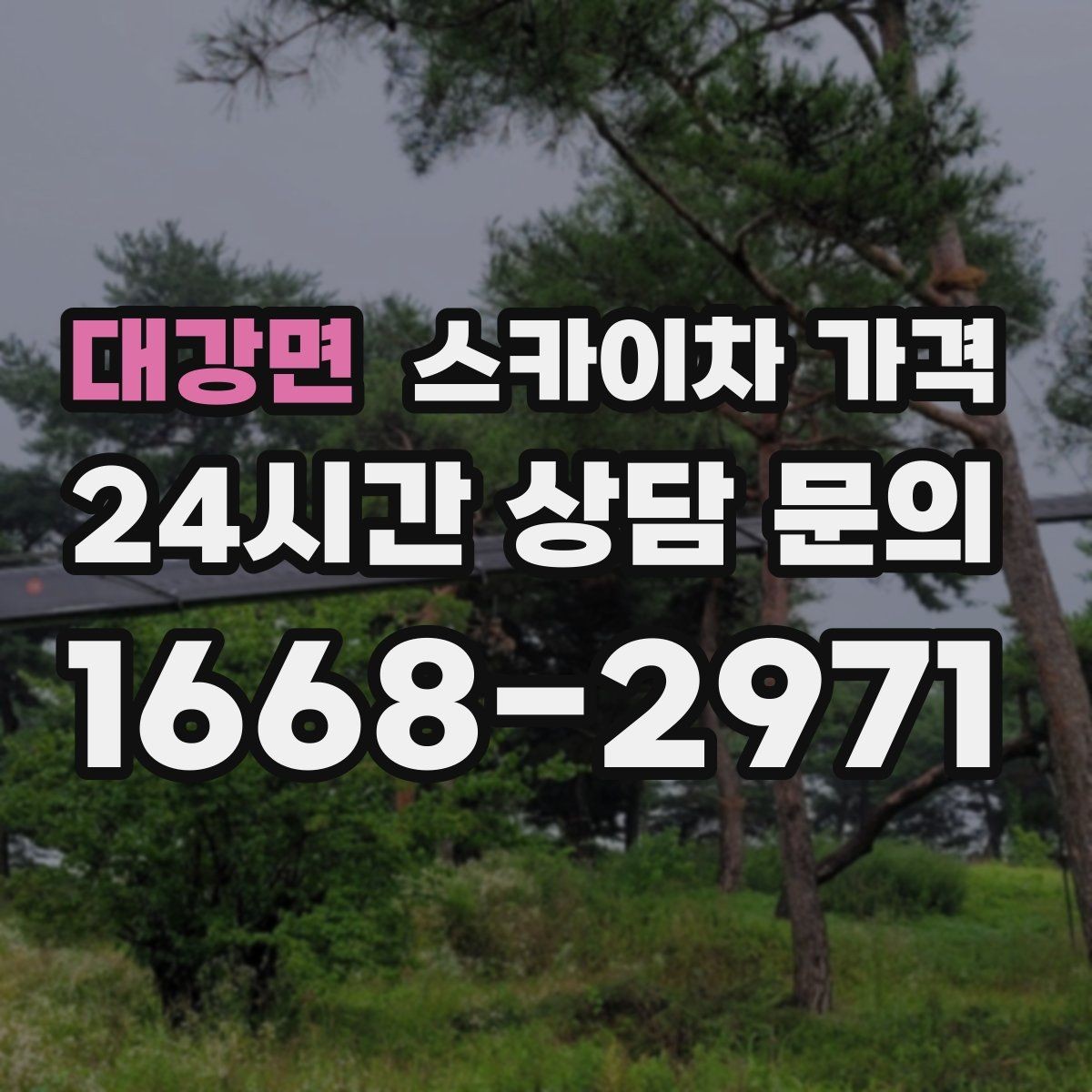 대강면 스카이차 가격 작업 위치가 전면·측면·후면이면 달라질까