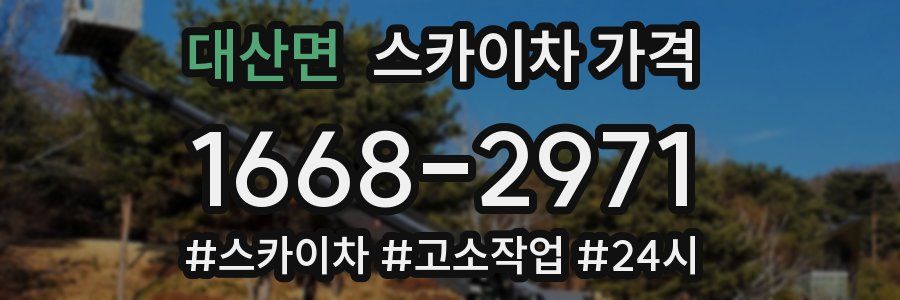 대산면 스카이차 가격