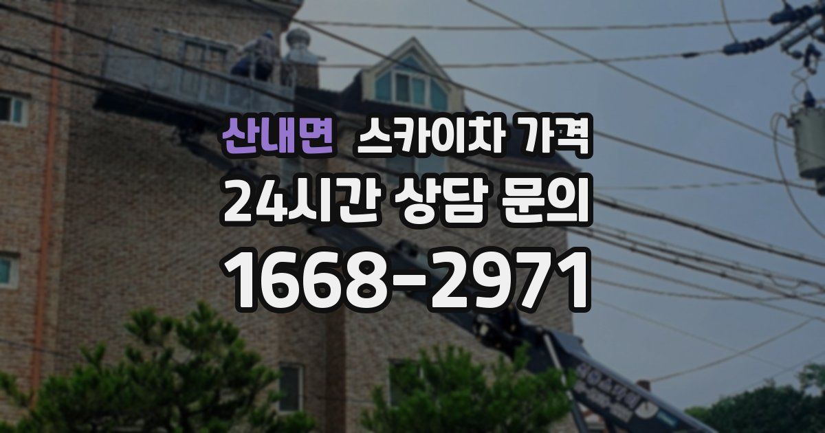 산내면 스카이차 가격